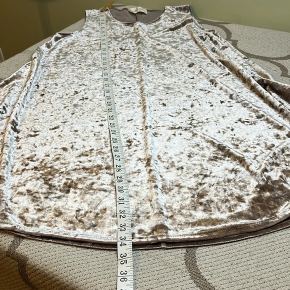 Molly Green Lindsay mushroom velour sleeveless swing mini dress - Picture 12 of 13